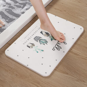 硅藻泥吸水地墊 Diatomaceous Super Absorbent Bath Mats