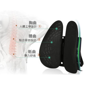 Omas Healthy Waist Supporter 2-1